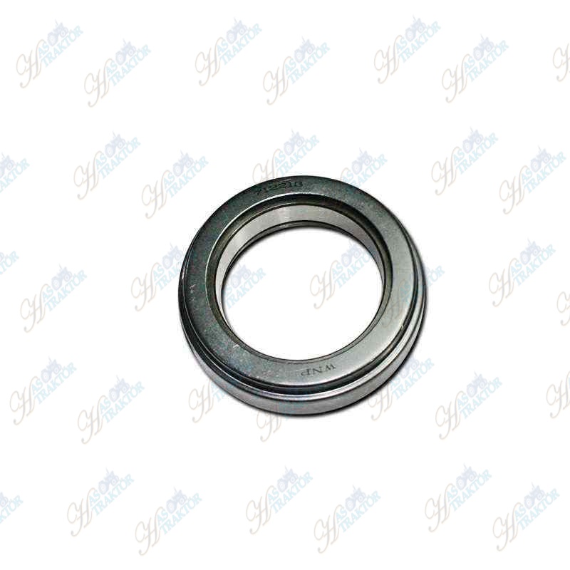 DEBRİYAJ BİLYASI   WNP032097