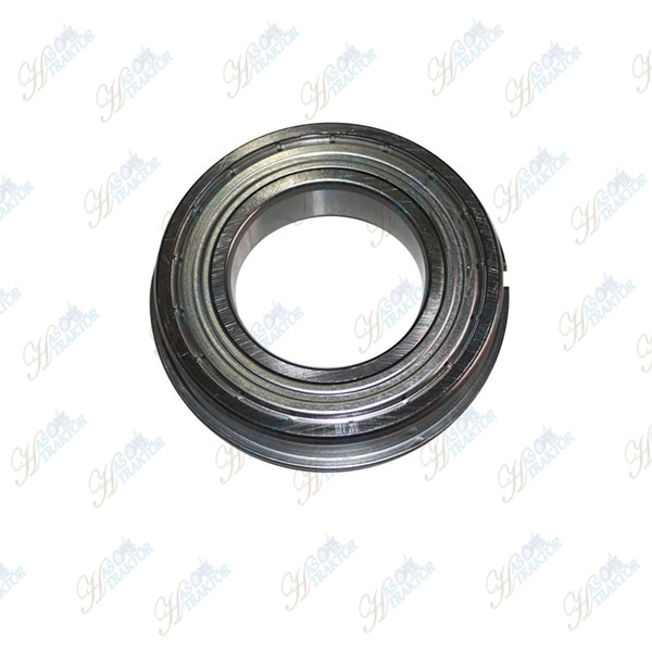ŞANZIMAN BİLYASI 6210 ZNR