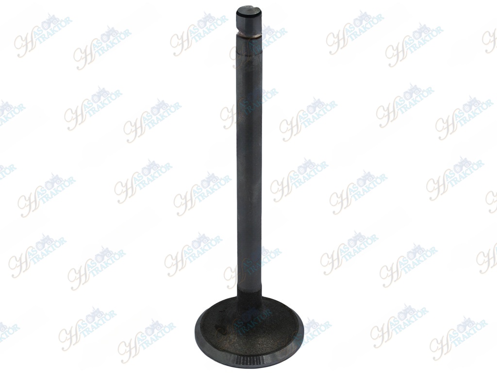 3000-5000 Motor Subabı Emme 0.15