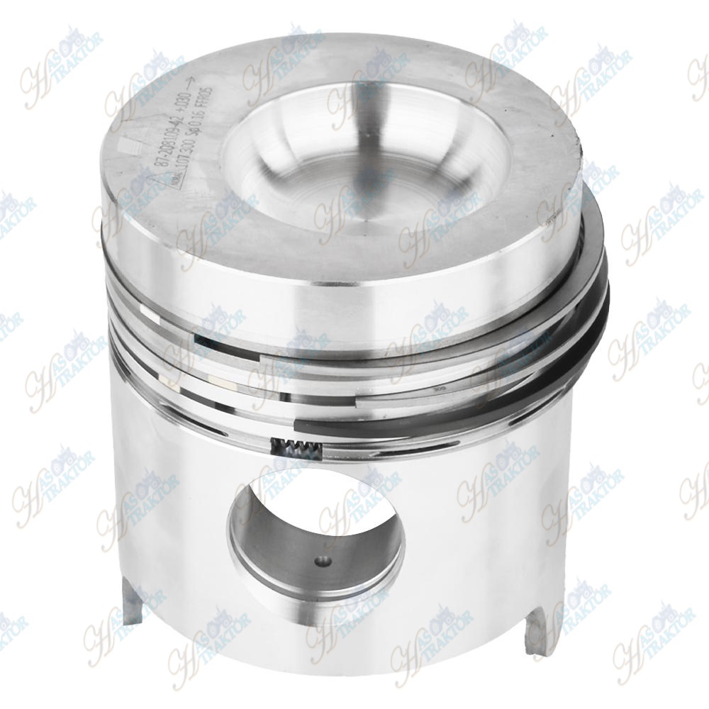 PISTON SEKMANLI 030