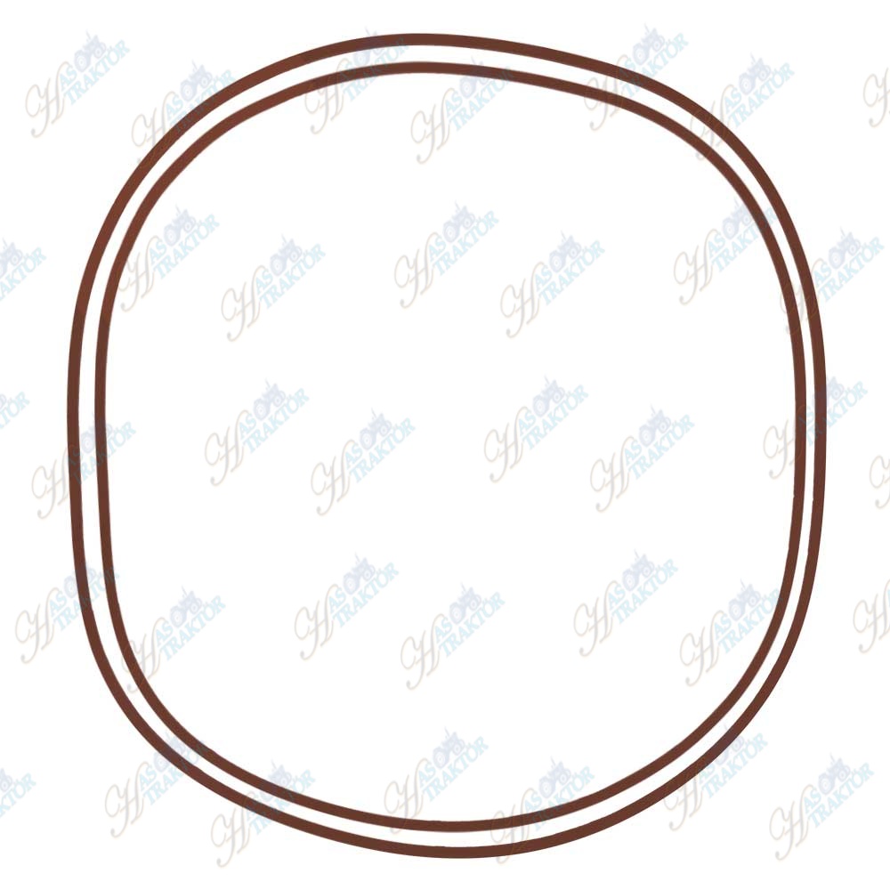 FREN PISTON LASTIGI TAKIM, VITON